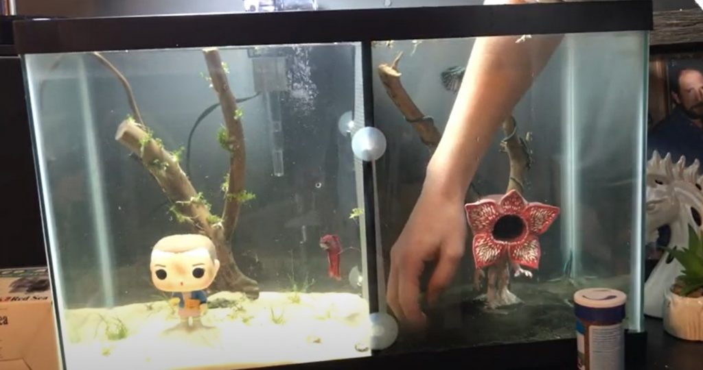 Funko-Pop-In-Fish-Tank